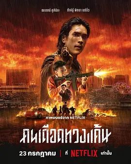 《风情万种野玫瑰》主视觉